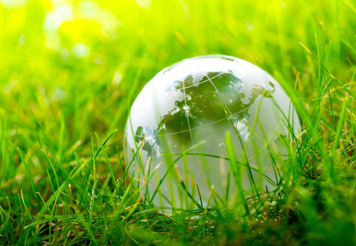 A glass globe nestled in grass
