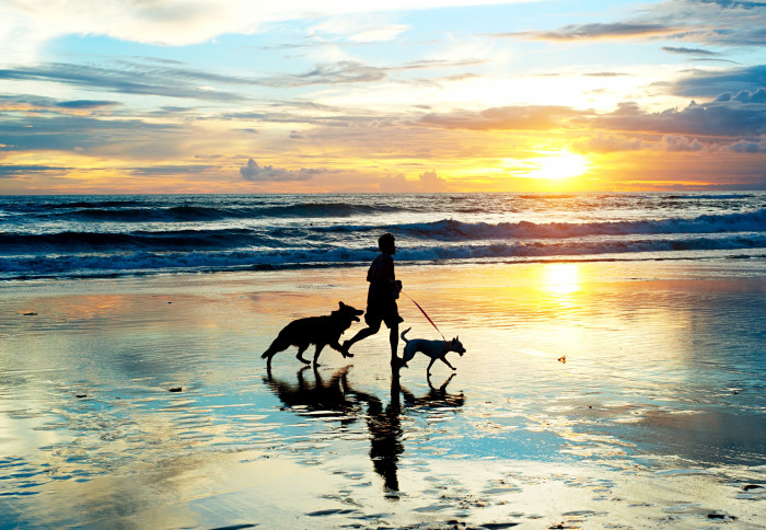 A person running with their pet dogs on a beach as the sun sets