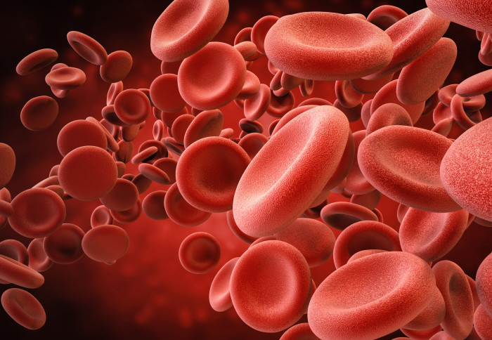 3D rendered image of red blood cells in a blood vessel