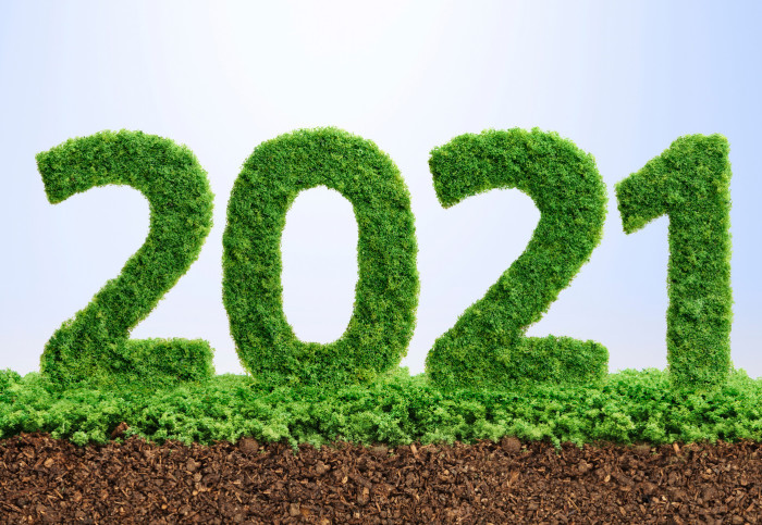 2021 written in green leaves sits on a bed of soil