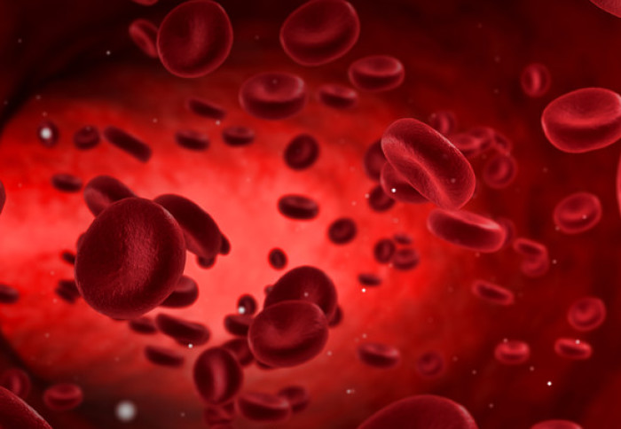 Red blood cells