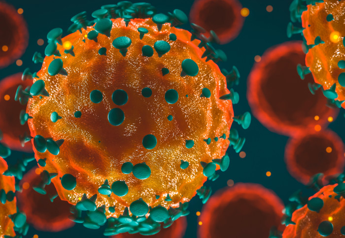 An illustration of coronavirus