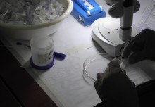 Smart diagnostics: the stepping stone in the pathway to malaria elimination
