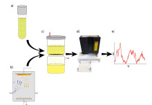 Novel Gold-coated SERS Filters for Diagnosis of Urinary Tract Infections