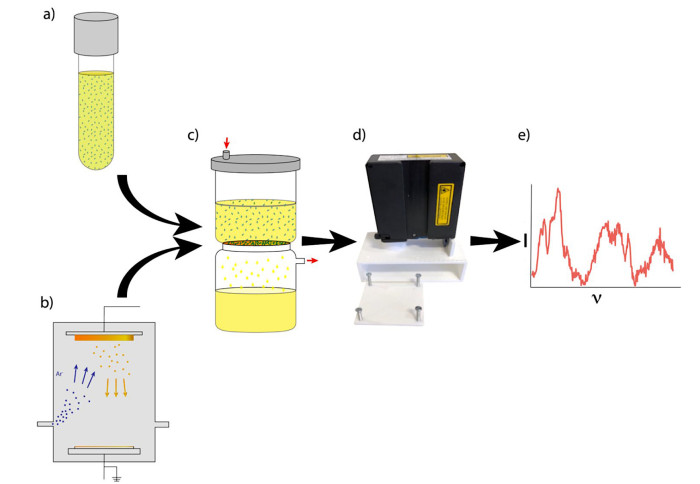 Rapid uropathogen identification using surface enhanced Raman spectroscopy active filters
