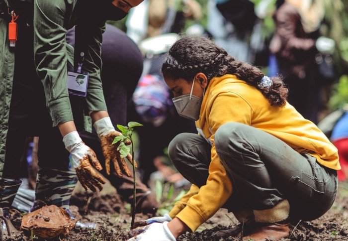Photo shows a mother teaching her child how to plant a tree. Mother wears a headscarf and green dress, daughter is about 6 years old, she wears a yellow jersey and a facemask, they have muddy hands