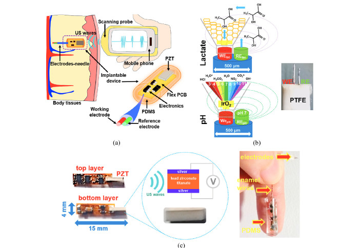 Low-powered implantable devices activated by ultrasonic energy transfer for physiological monitoring in soft tissue via functionalized electrochemical electrodes