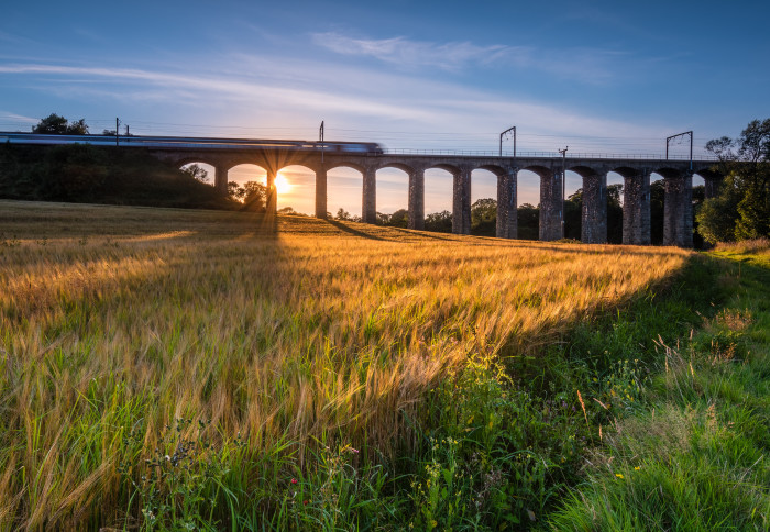 Train on River Aln Viaduct. A golden crop of barley below the railway viaduct with motion blurred train