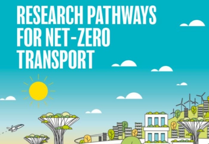 Picture of the Grantham Decarbonisation of Transport report