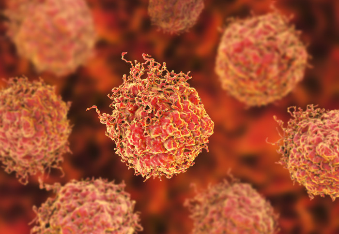 Prostate cancer cells, 3D illustration