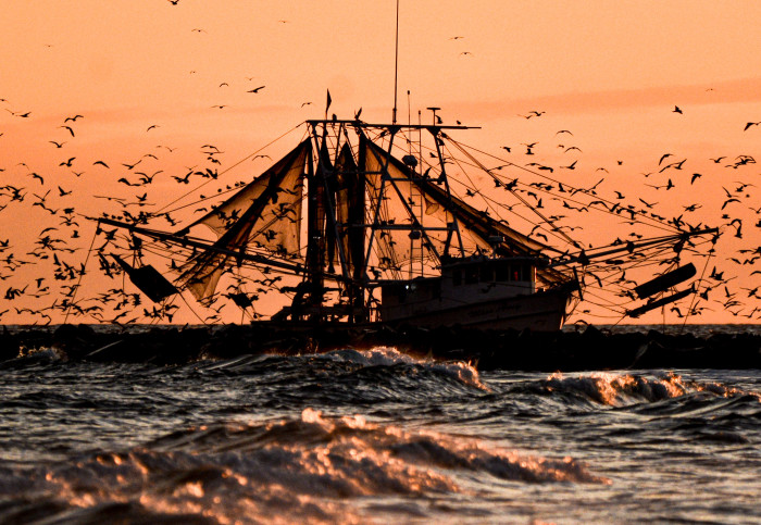 A fishing vessel on the sea at sunset