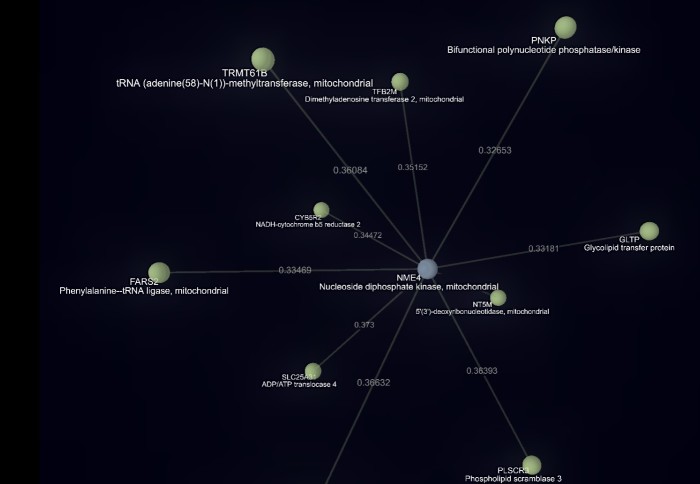 Screenshot of the protein mapping interface, showing coloured dots with connecting lines