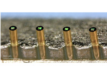 3D-printed Sensor on Fibre-Optic Probes for Rapid Bacteria Detection