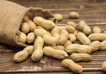 First study of a new immunotherapy treatment for peanut allergy launches