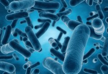 EU gives Imperial €2.5 million to delve deeper into bacterial gene swapping