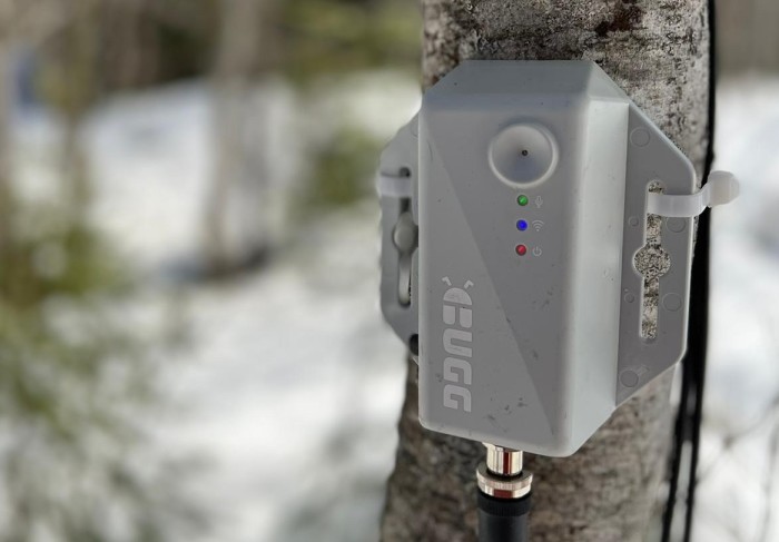 A small grey device strapped to a tree