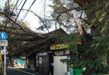 Climate change added $4bn to damage of Japan’s Typhoon Hagibis