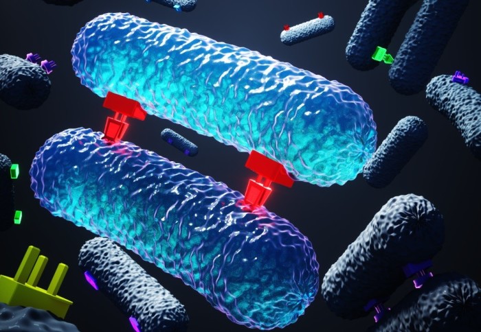 Illustration of rod-shaped bacteria with different shaped and coloured protrusions finding bacteria with corresponding protrusions