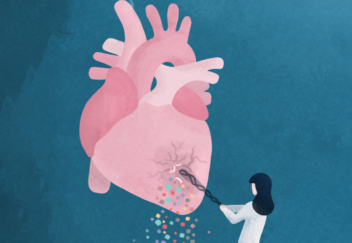 In this illustration, the diseased heart is displayed as a piñata being hit by a DNA bat to signify the genetic impact of the variants that were studied. Credit: Dr Eleonora Adami, MDC