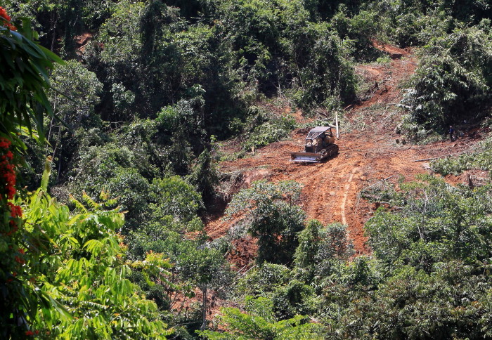Heavy machinery in a cleared patch of tropical forest