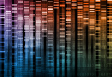 Genetic Causes of Three Previously Unexplained Rare Diseases Identified
