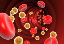 Cholesterol guidelines and menstrual cycle insights: News from the College