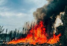 Scientists uncover the role of climate change in devastating East Canada fires