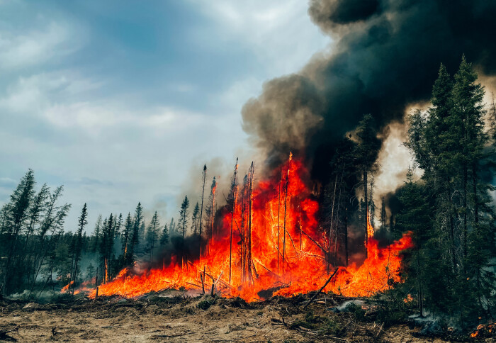 On average, wildfires burn about 2.5 million hectares in Canada each year. In 2023, wildfires have already burned nearly 14 million hectares. Photo by Audrey Marcoux, SOPFEU.