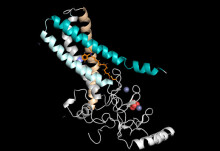 New class of cancer and immunology drug targets mapped with new tagging system