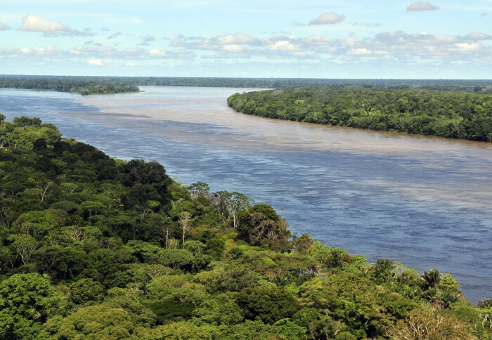 An aerial photo of the Amazon river taken near Manaus, Brazil.