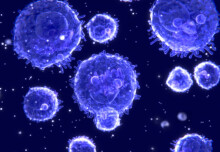 T cells may provide more durable protection against Omicron than antibodies