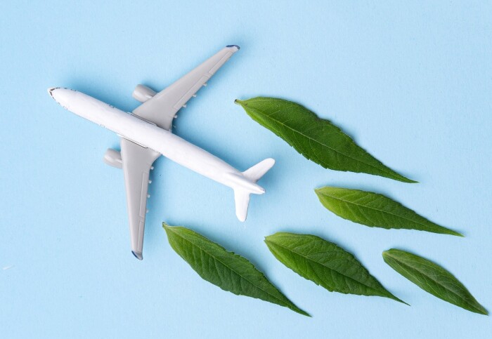 Cartoon image of a plane seen from above, surrounded by leaves.