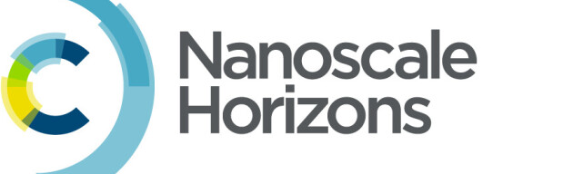 Nanoscale Horizons