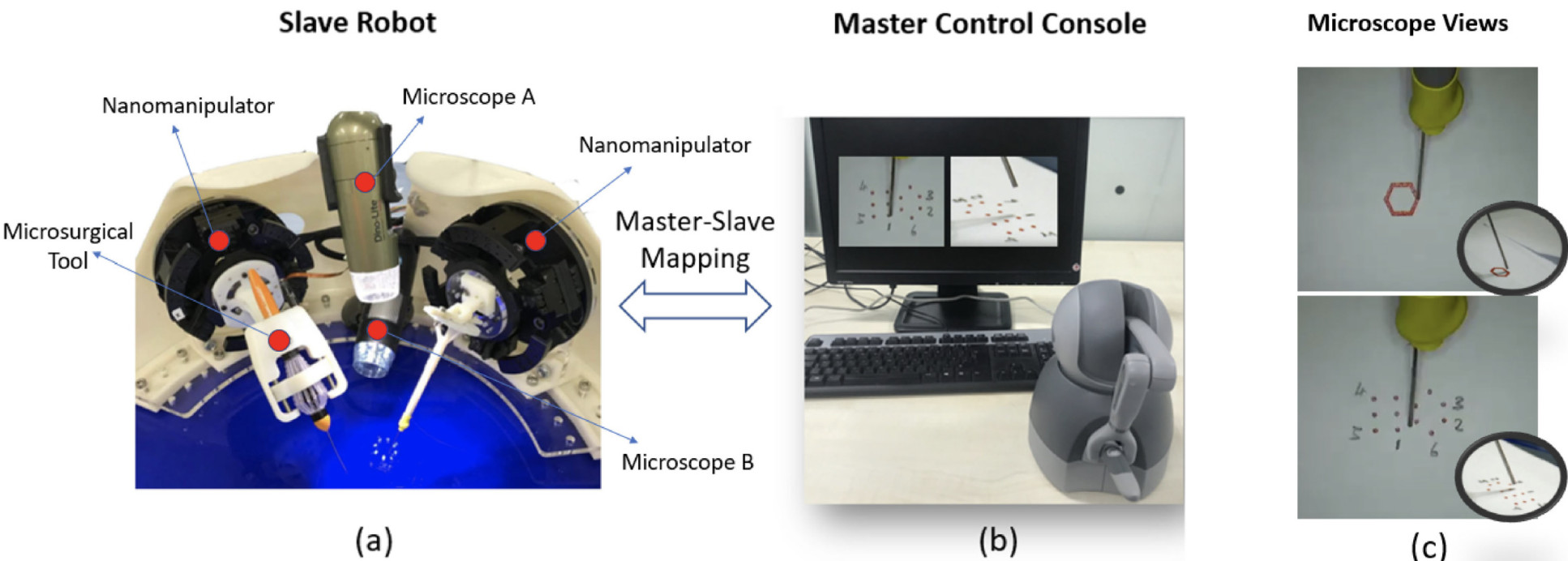 Overview of the scenario for the master-slave remote control