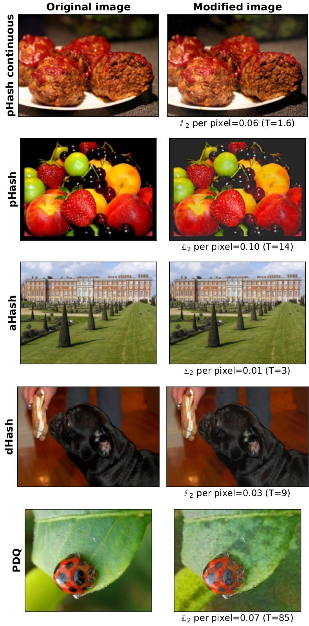 Side-by-side photographs of food, fruit, a building, a dog, and a ladybird. One side has been hashed, the other has not, but the differences are imperceptible to the human eye.