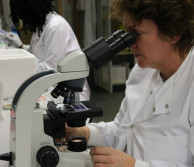 A researcher using a microscope in the lab