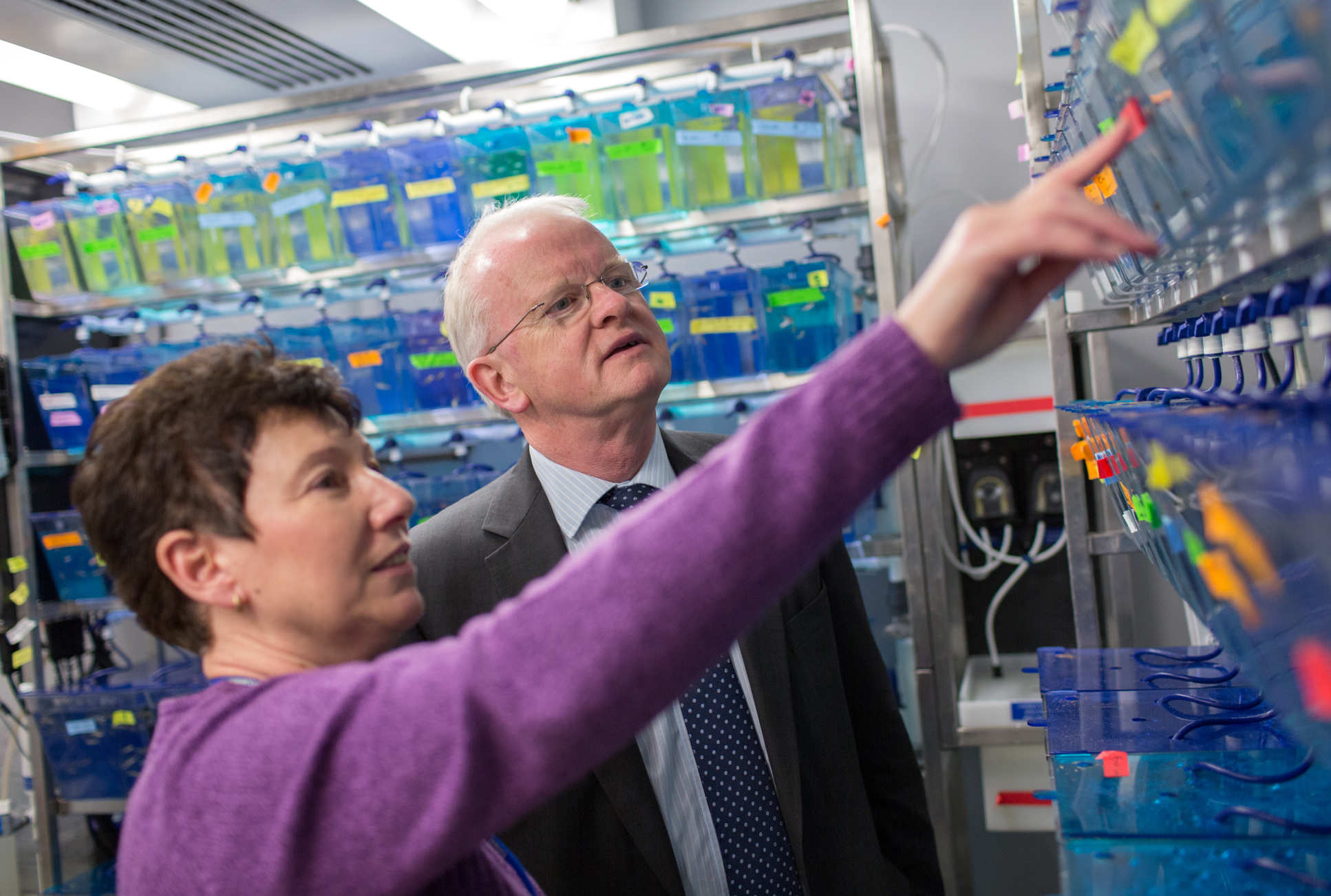 James Stirling visiting a zebra fish lab