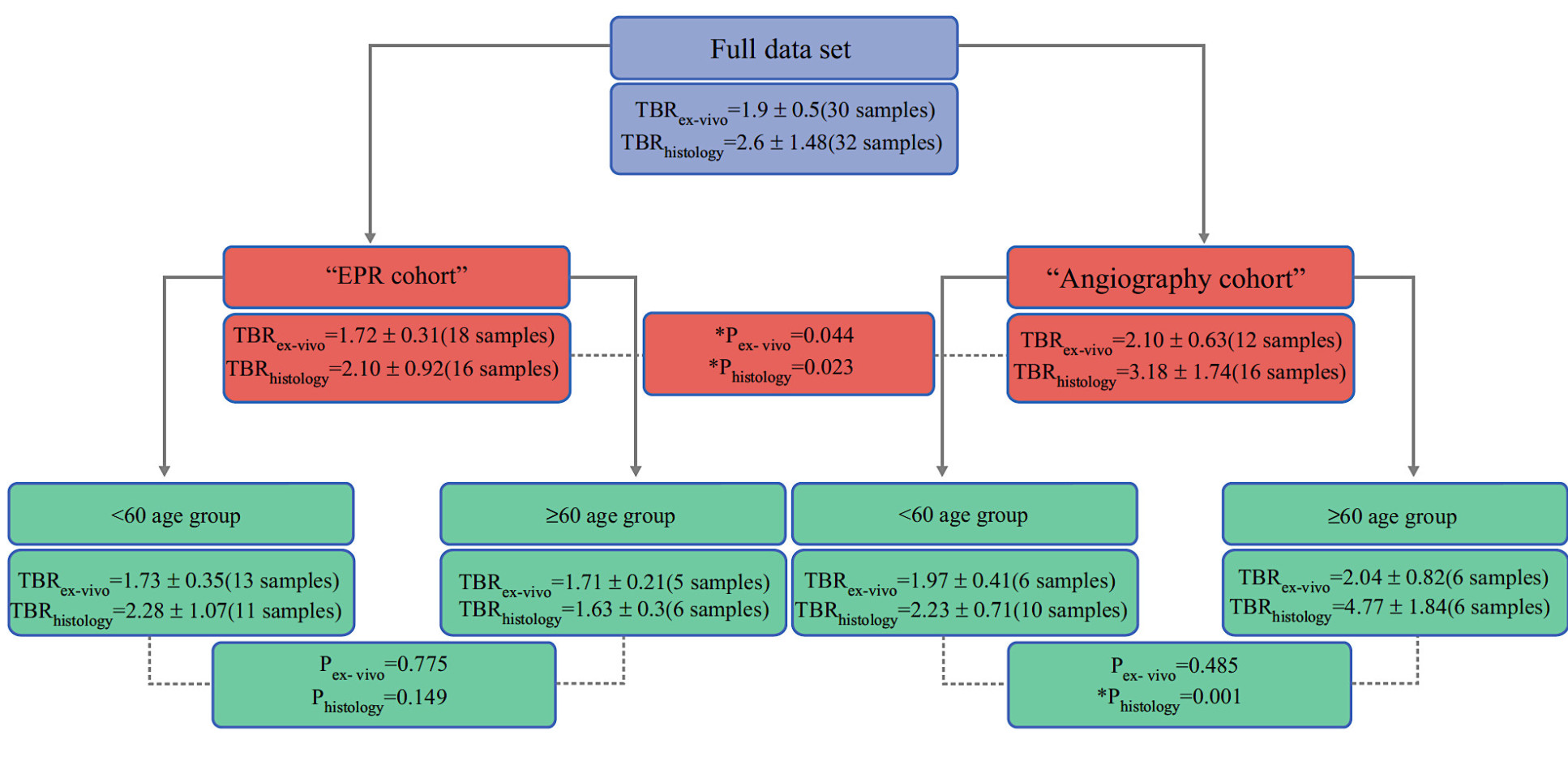 Summary TBR values for the whole dataset, the EPR and angiography cohorts, and sub-groups based on age.