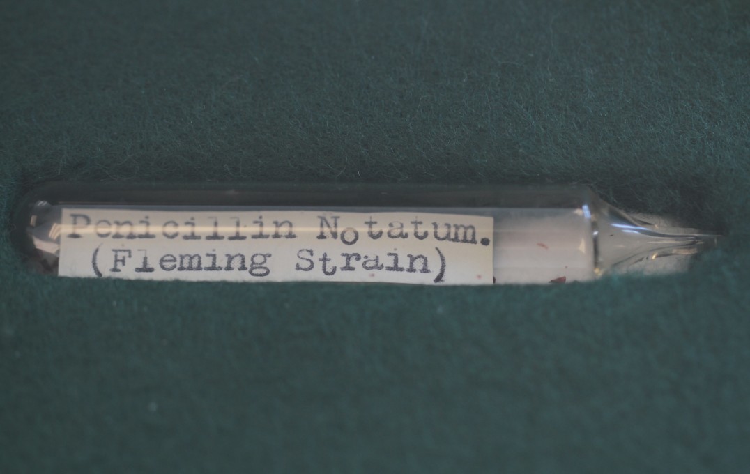 Fleming's sample in a tube
