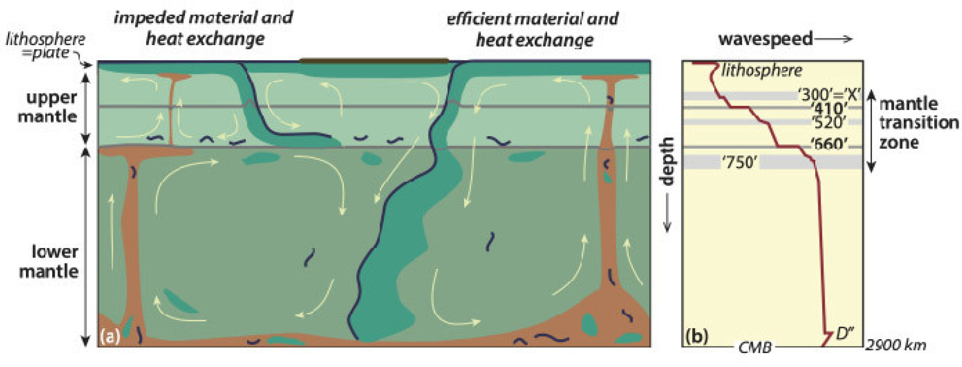 A cross section through the mantle showing two layers and increasing seismic wave speed with depth