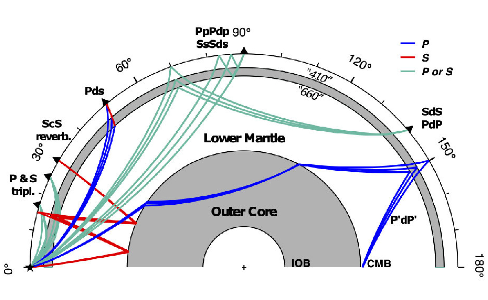 A cross section through the Earth showing the path of P- and S-waves