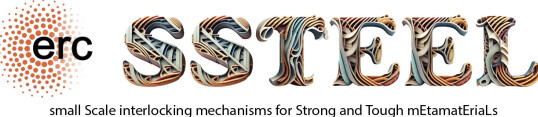 ERC and project Logo