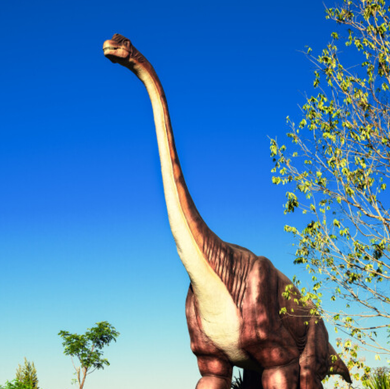 Photo of a model of a Patagotitan dinosaur. It towers over the trees.