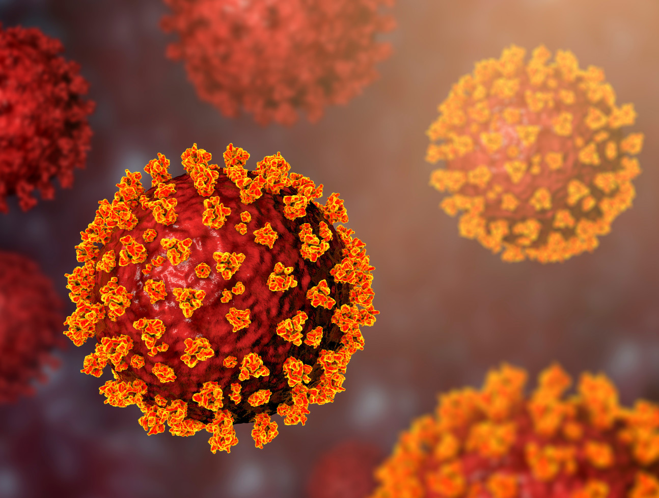 An illustration of coronavirus