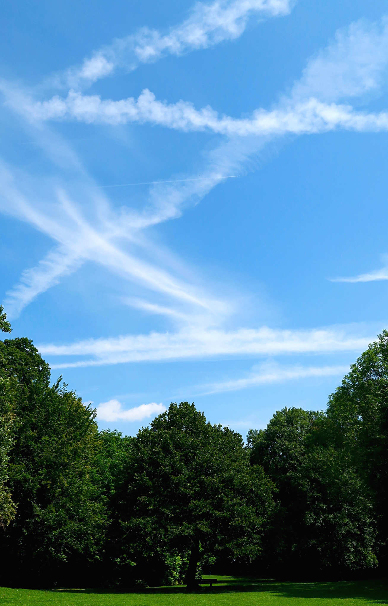 Photo of blue sky with several crisscrossing contrails. Trees seen in foreground.