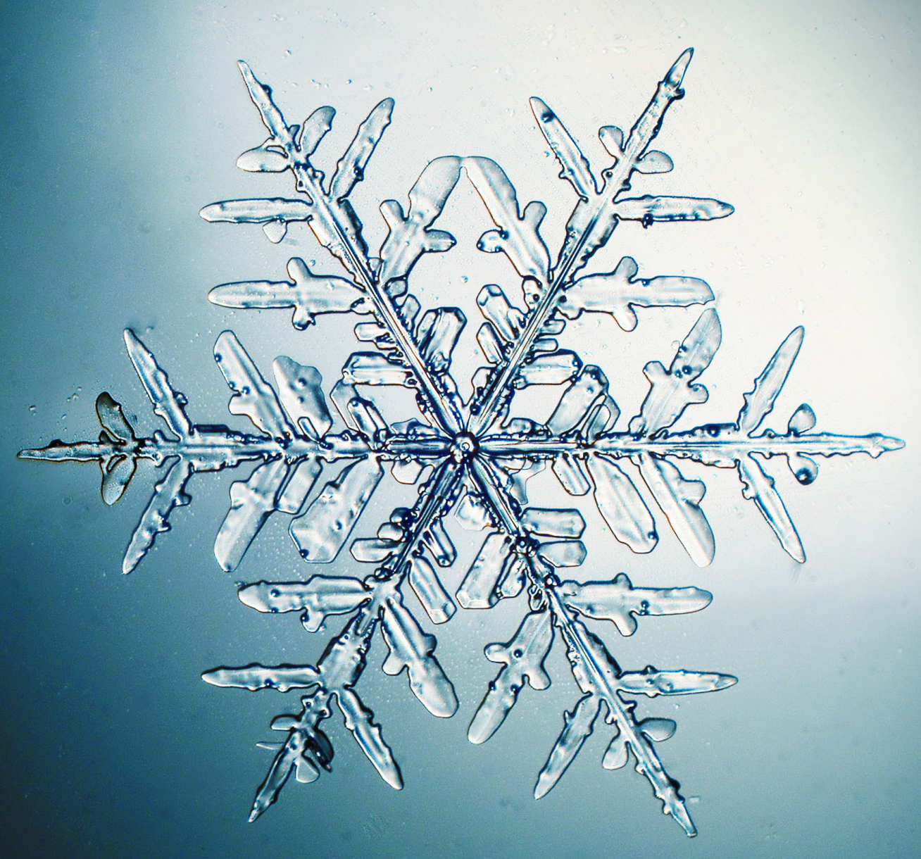 Close up photo of a snowflake