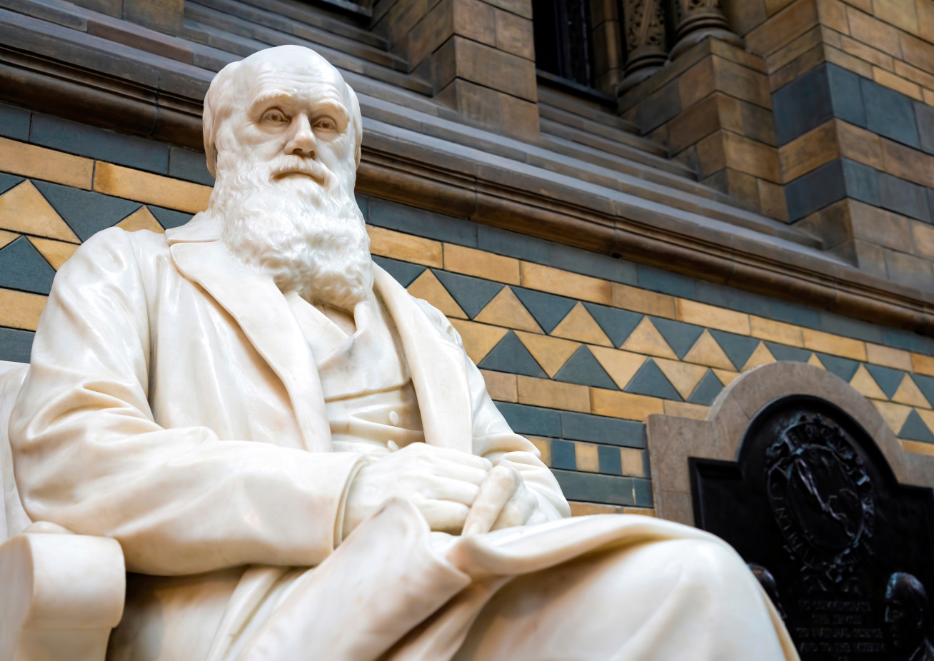 A statue of Charles Darwin.