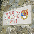Wye College