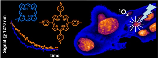 Measuring intracellular singlet oxygen