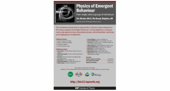 Physics of Emergent Behaviour